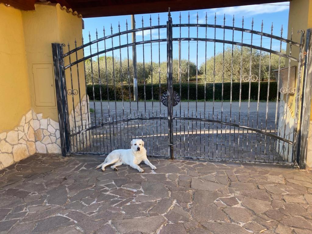 Villa Pedrosu Casa Linari Extérieur photo
